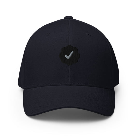 Checks VV x 1/n Hat - Background Check