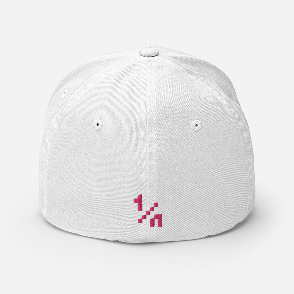 1/n Nouns Logo Cap
