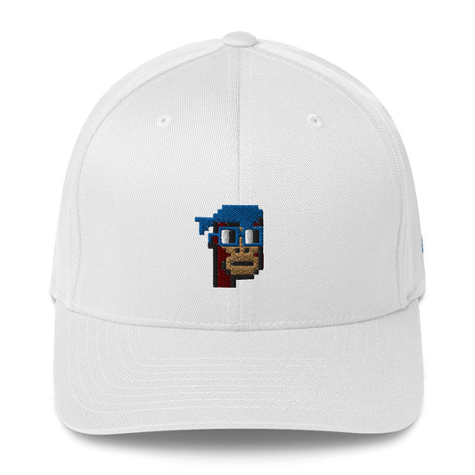 4156 cc0 White Hat