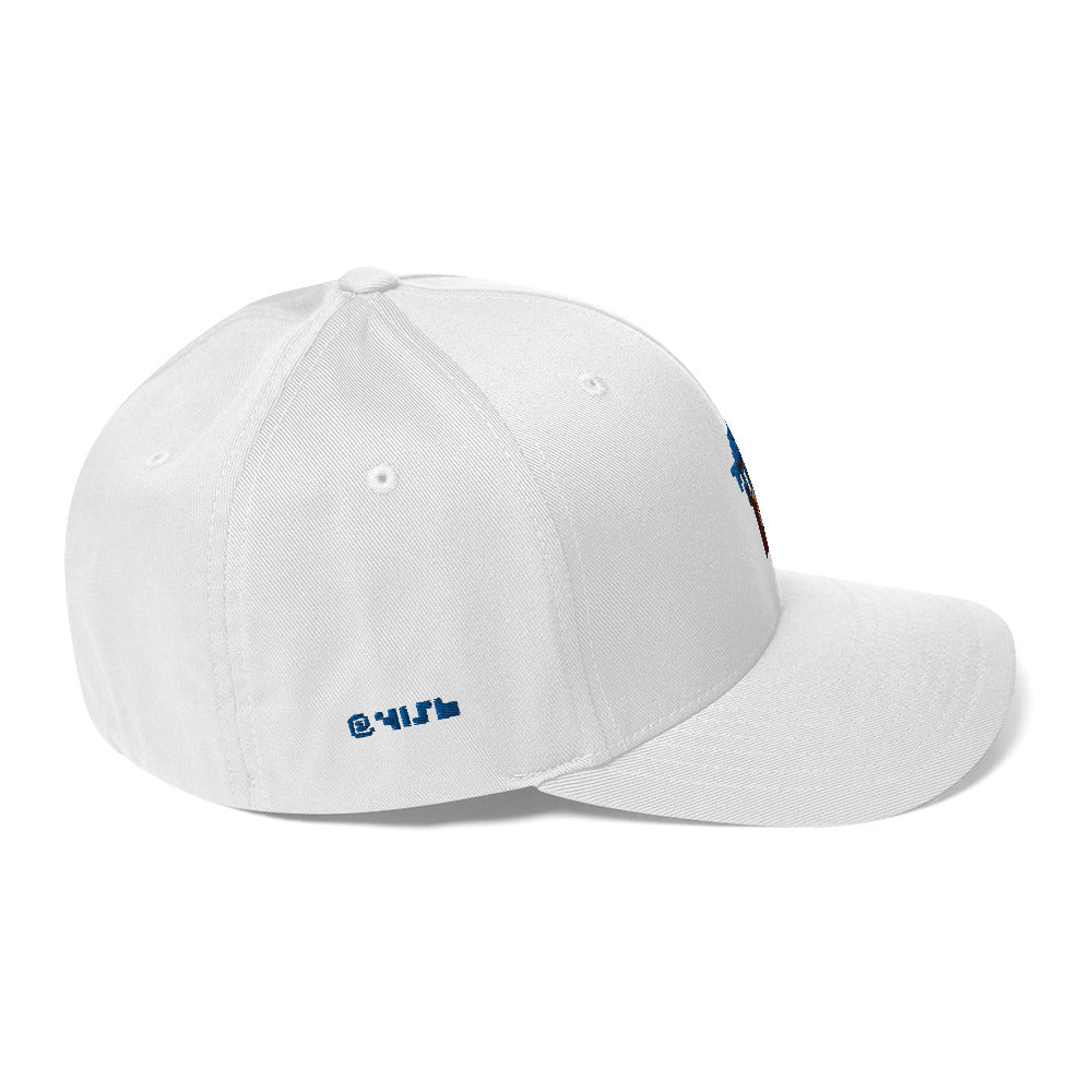 4156 cc0 White Hat