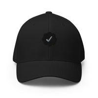 Checks VV x 1/n Hat - Background Check
