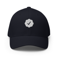 Checks VV x 1/n Hat