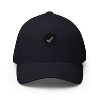 Checks VV x 1/n Hat - Background Check